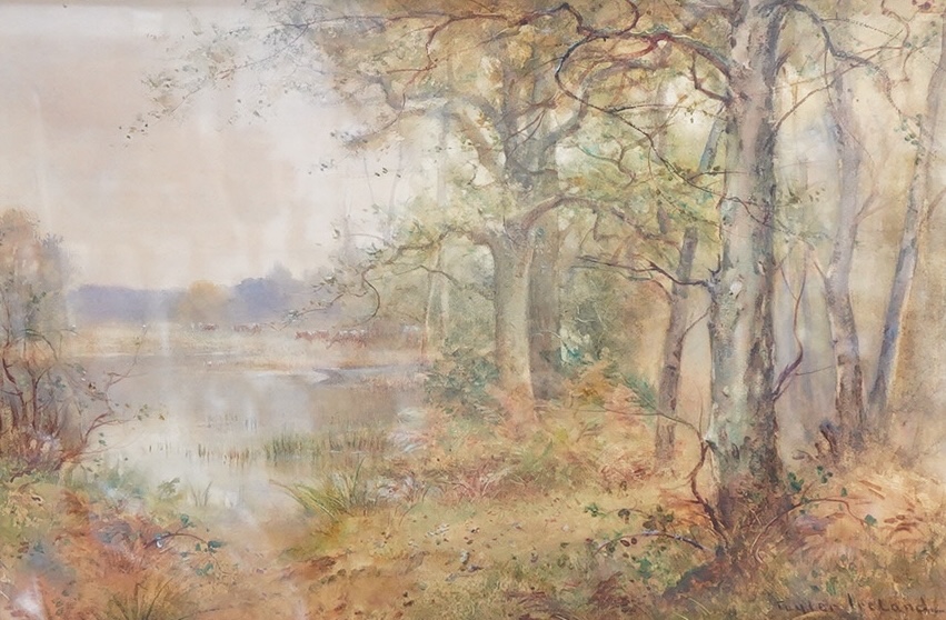 Thomas Taylor Ireland, (Exh. 1880-1921), Lakeside landscape with cattle grazing, signed, gallery label verso, watercolour, 33 x 51cm